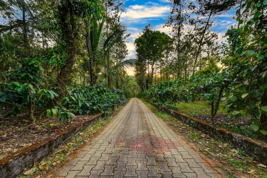 Coorg Bliss Estate Stay Madikeri Dış mekan fotoğraf