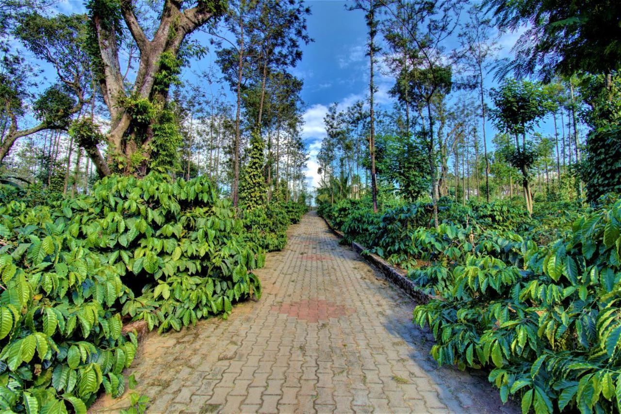 Coorg Bliss Estate Stay Madikeri Dış mekan fotoğraf