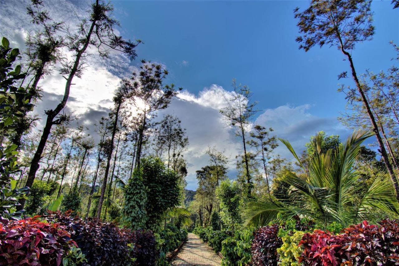 Coorg Bliss Estate Stay Madikeri Dış mekan fotoğraf
