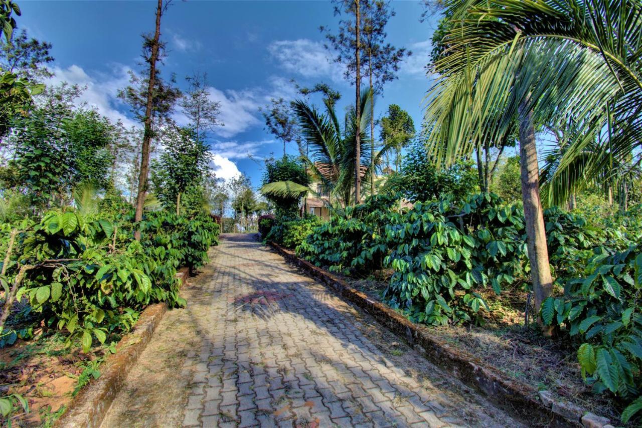Coorg Bliss Estate Stay Madikeri Dış mekan fotoğraf